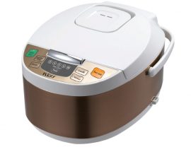 flexy-rice-cooke-fl10hp